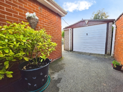 Picture 23